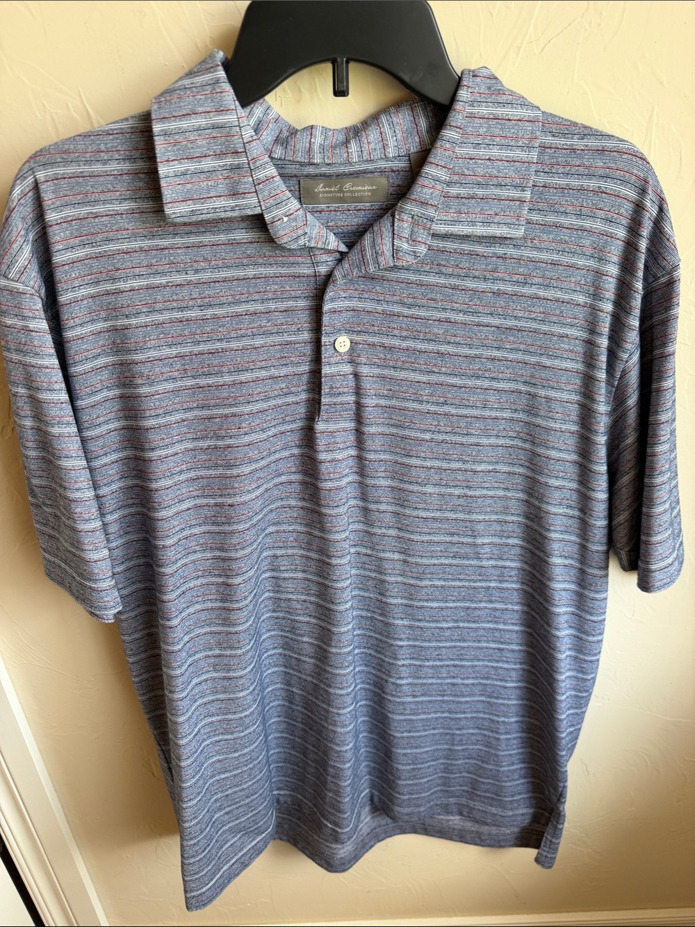 Daniel Cremieux Blue and Red Striped Men's Polo